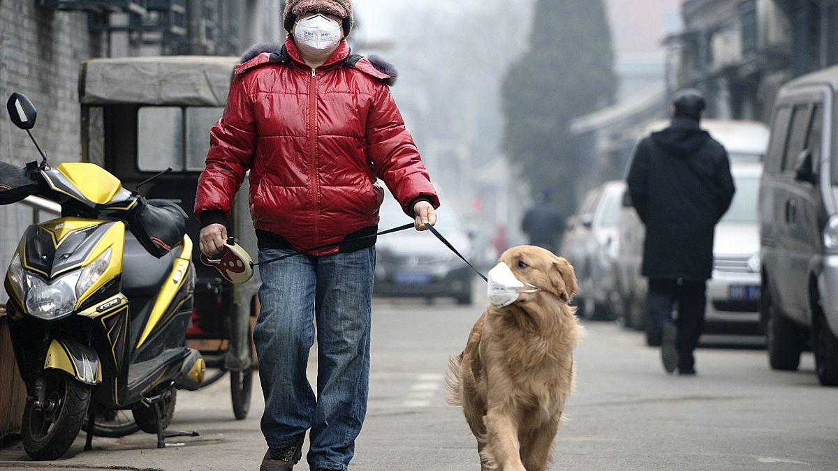 A levegőszennyezés mára több ember halálát okozza, mint a háborúk vagy a dohányzás