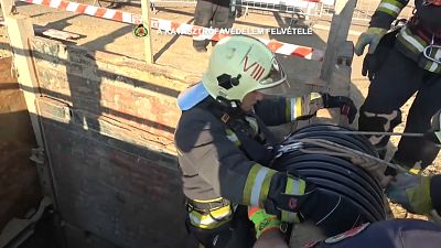 شاهد: إنقاذ قط في بودابست من حفرة بعمق 10 أمتار