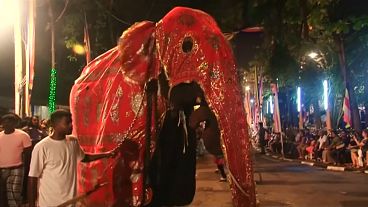 Σρι Λάνκα: Οι "στολισμένοι ελέφαντες"