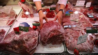 Lab-grown meat is yet to be a viable alternative for the mass market