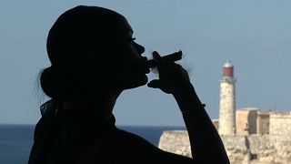 Kuba steigert Zigarren-Absatz