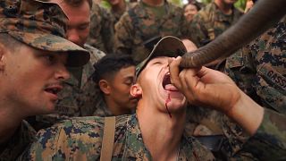 Kobravérrel edzették magukat amerikai katonák Thaiföldön