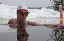 Ice swimming enthusiasts in Russia are nicknamed 'Walruses'
