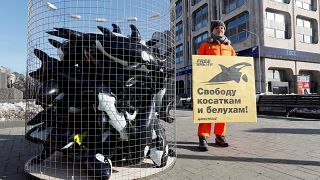 Акция в защиту косаток и китов в Москве