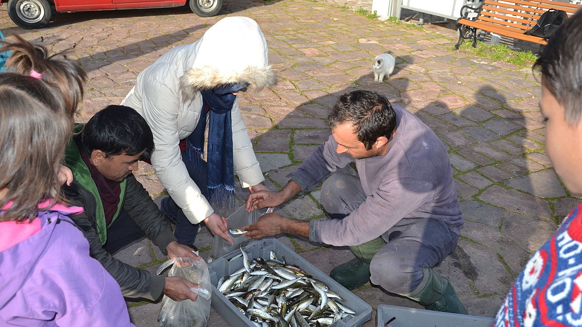 Μυτιλήνη:Ο ψαράς που μοιράζει τα ψάρια του στα προσφυγόπουλα!