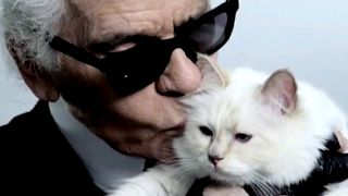 Milliókat örökölhet Lagerfeld macskája