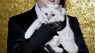 Karl Lagerfeld podría dejar su fortuna a su gata Choupette