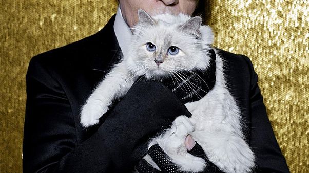 Karl Lagerfeld podría dejar su fortuna a su gata Choupette Karl Lagerfeld podría dejar su fortuna a su gata Choupette