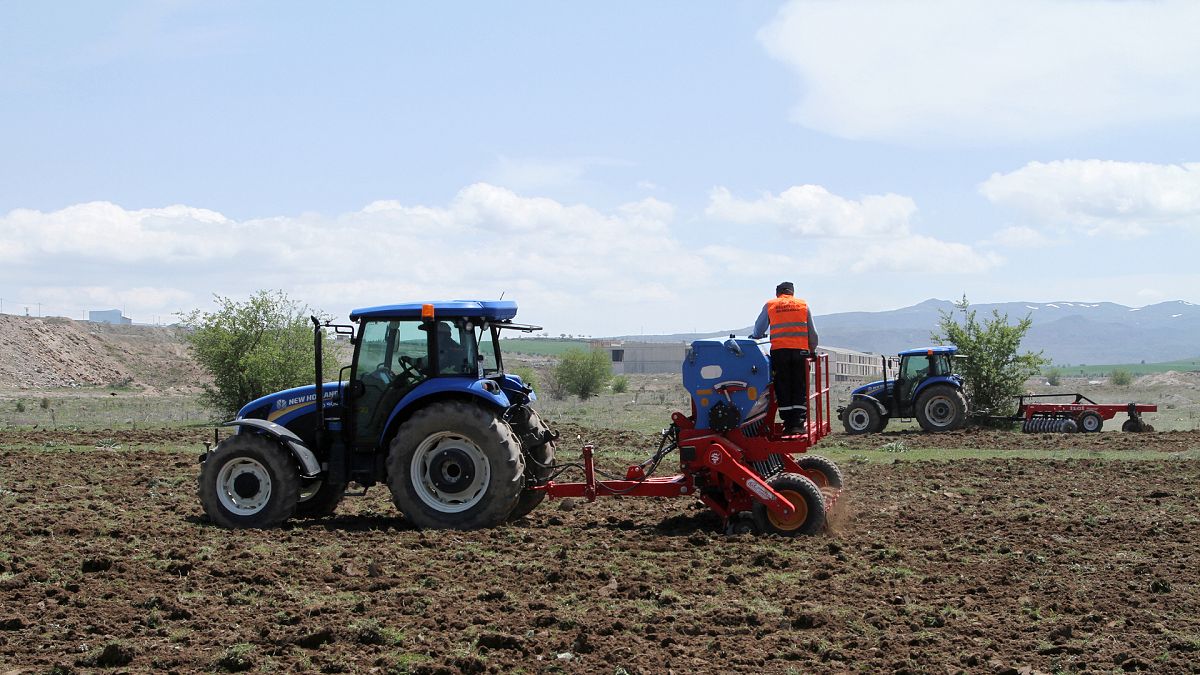 Türkiye'de son 12 yılda çiftçi sayısı yüzde 48 düştü, tarım alanları da azalıyor