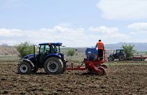 Türkiye'de son 12 yılda çiftçi sayısı yüzde 48 düştü, tarım alanları da azalıyor