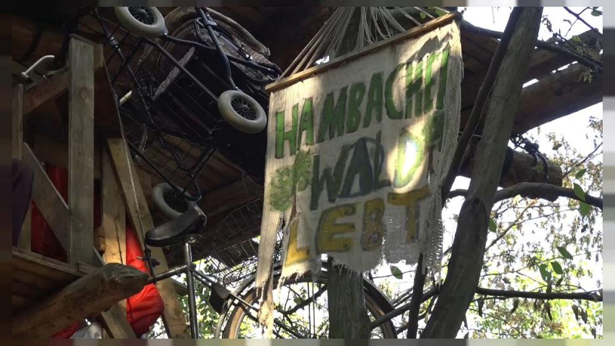 Widerstand im Hambacher Forst: "Eule" muss 9 Monate in Jugendhaft  