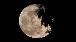 Pleine lune photographiée à Leeuw-Saint-Pierre, Belgique | 20/02/2019