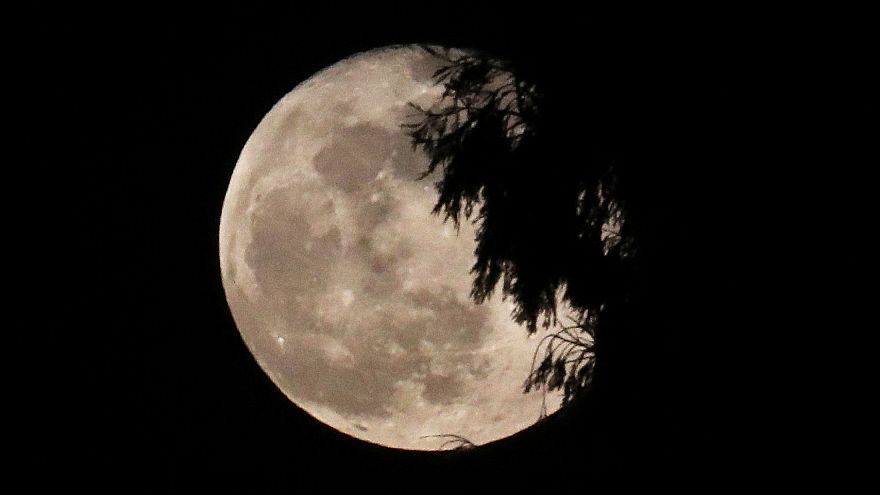 Pleine lune photographiée à Leeuw-Saint-Pierre, Belgique | 20/02/2019
