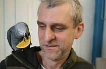 Dublin's 'pet detectives' identify parrot owner using Slovak voice recordings