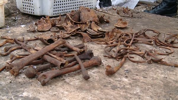 В Бресте найдены останки 600 человек В Бресте найдены останки 600 человек