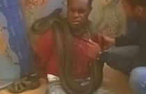 Endonezya'nın Papua Adası