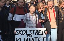 Greta Thunberg at Friday's climate march in Paris.