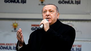 اردوغان: منطقه امن در مرز با سوریه باید تحت کنترل ترکیه باشد