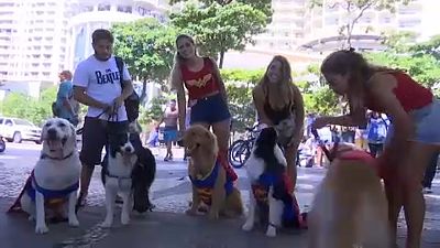 Cães "mascaram-se" e desfilam em Copacabana