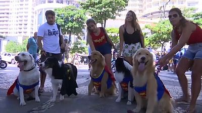شاهد" الكلاب الخارقون" في مهرجان ريو دي جانيرو الاستعراضي