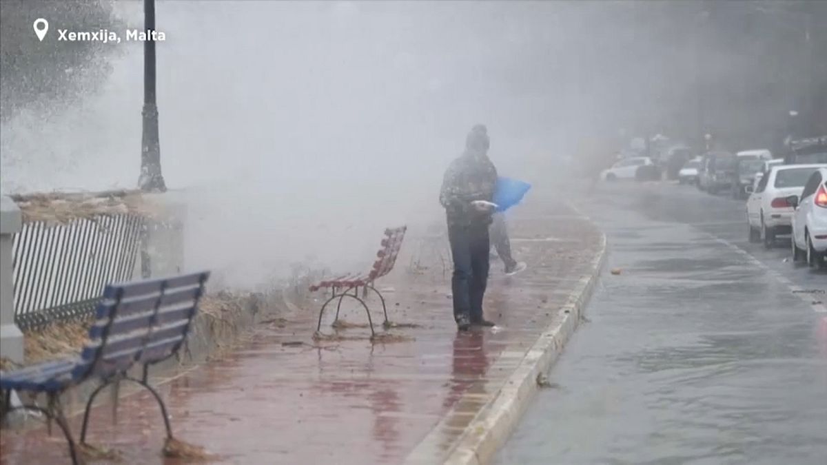 It's 'raining fish' in Malta after storm brings high waves