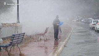 It's 'raining fish' in Malta after storm brings high waves