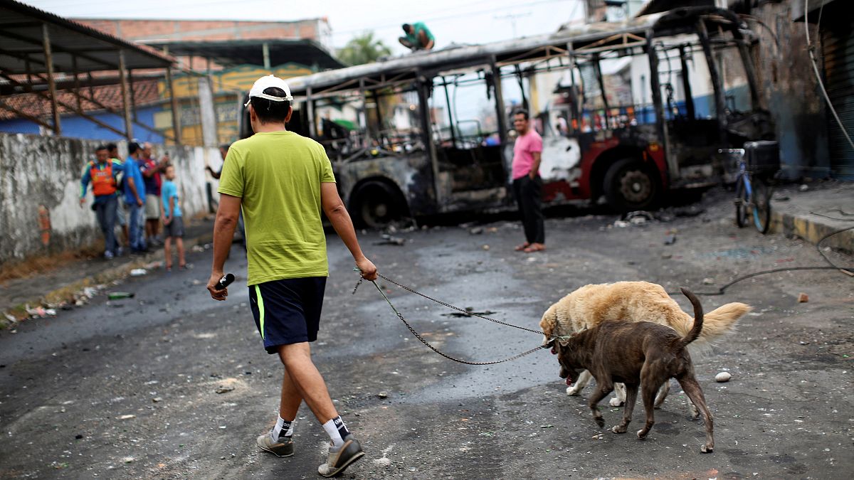 Venezuela: Ekonomik kriz hayvanları da vurdu, milyonlarcası sokağa terk edildi