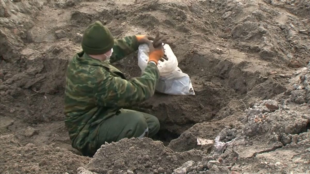 العثور على رفات مئات الأشخاص أعدموا خلال الحرب العالمية الثانية في بيلاروسيا