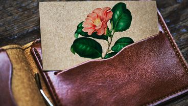 Grape skin leather is one of the alternatives.