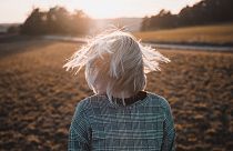 Shake it Off: Stress-Proof Your Brain