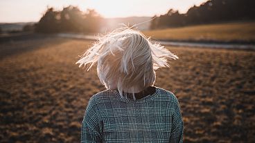 Shake it Off: Stress-Proof Your Brain