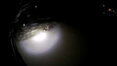Angustioso rescate de un perro en las gélidas aguas del Canal de Erie