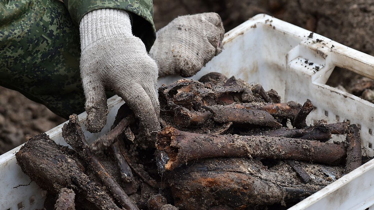 Mass World War Two graves found at Belarus building site