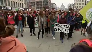 Studie: Populismus gefährdet Klimaschutz