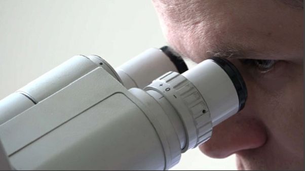 Influenzakörkép Lengyelországból Influenzakörkép Lengyelországból