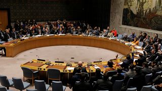 BM Güvenlik Konseyine gelen Venezuela taslağına Rusya ve Çin'den veto