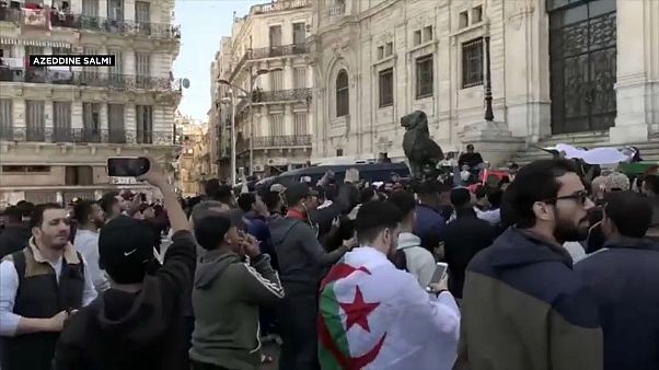 متظاهرون في العاصمة الجزائر متظاهرون في العاصمة الجزائر