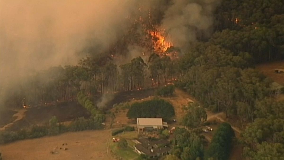 شاهد: حرائق غابات تستعر في أستراليا