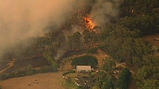 شاهد: حرائق غابات تستعر في أستراليا