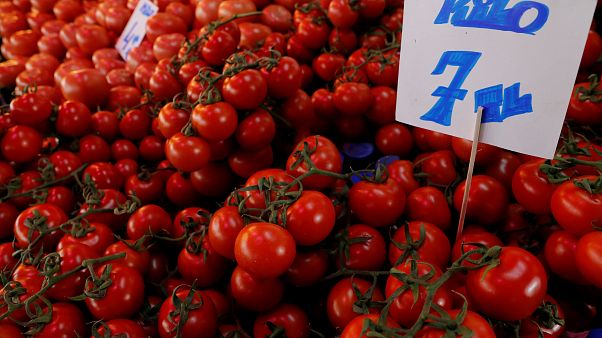 Türkiye'de enflasyon şubat ayında da yükseldi; yıllık bazda yüzde 19,76 oldu Türkiye'de enflasyon şubat ayında da yükseldi; yıllık bazda yüzde 19,76 oldu