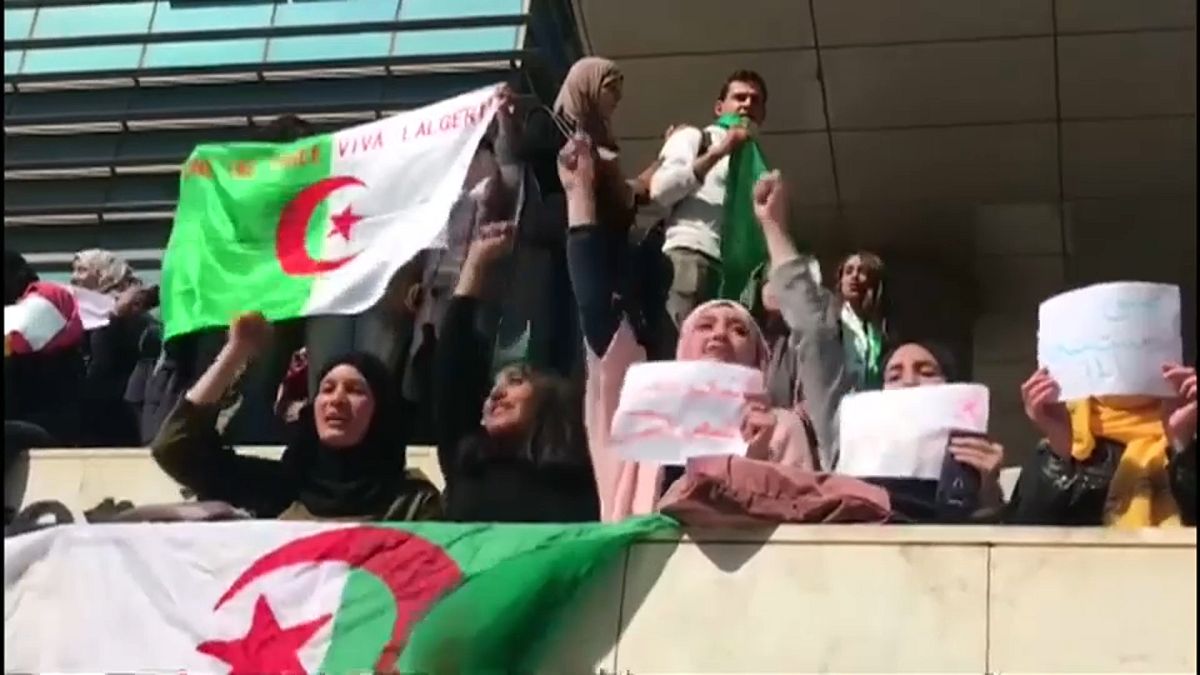 Новая волна протестов в Алжире