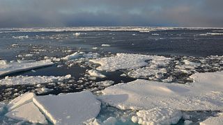 Arctic Ocean ice on Sept. 9, 2009.