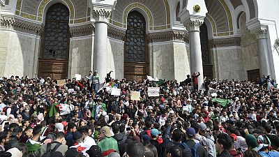 В Алжире не стихают протесты, армия выступила с предупреждением