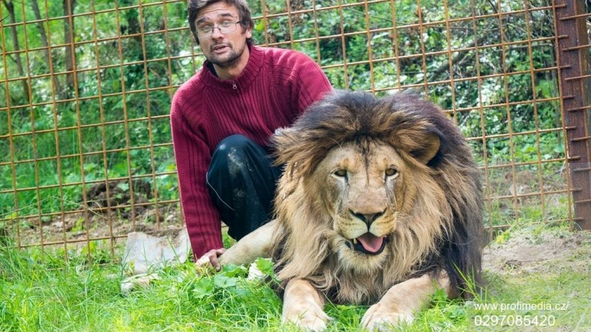 Illegal gehaltener Löwe tötet seinen Besitzer (33)