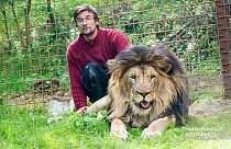  33χρονος σκοτώθηκε όταν του επιτέθηκε το λιοντάρι... που κρατούσε στο σπίτι του