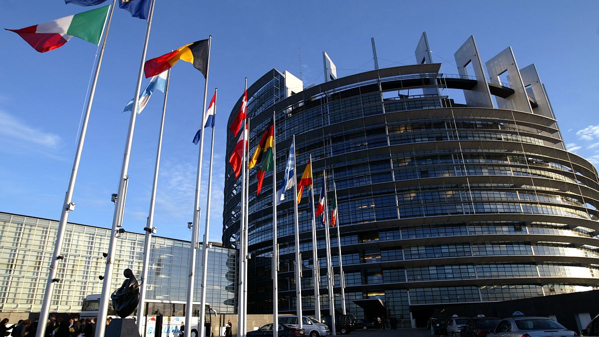 European Union member states' flags flying in front of the EP in Strasbourg