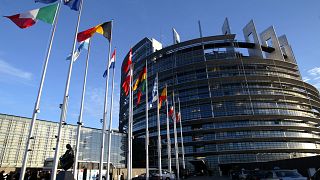 European Union member states' flags flying in front of the EP in Strasbourg