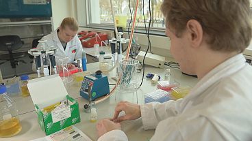 Projeto europeu usa leveduras para fabricar biomateriais