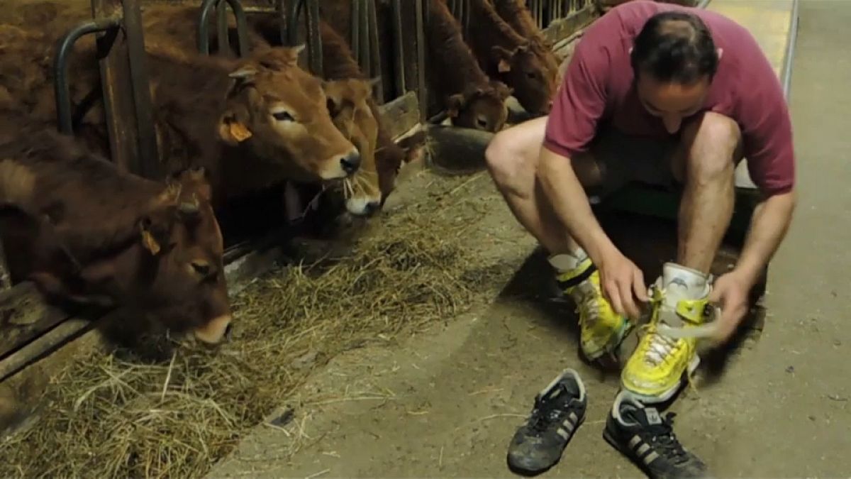 Practising his best mooves: Farmer skates in front of his cows