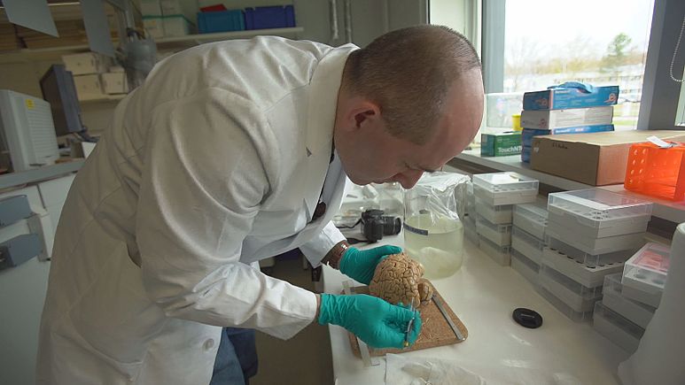 Un proyecto europeo intenta crear una máquina idéntica al cerebro humano Un proyecto europeo intenta crear una máquina idéntica al cerebro humano